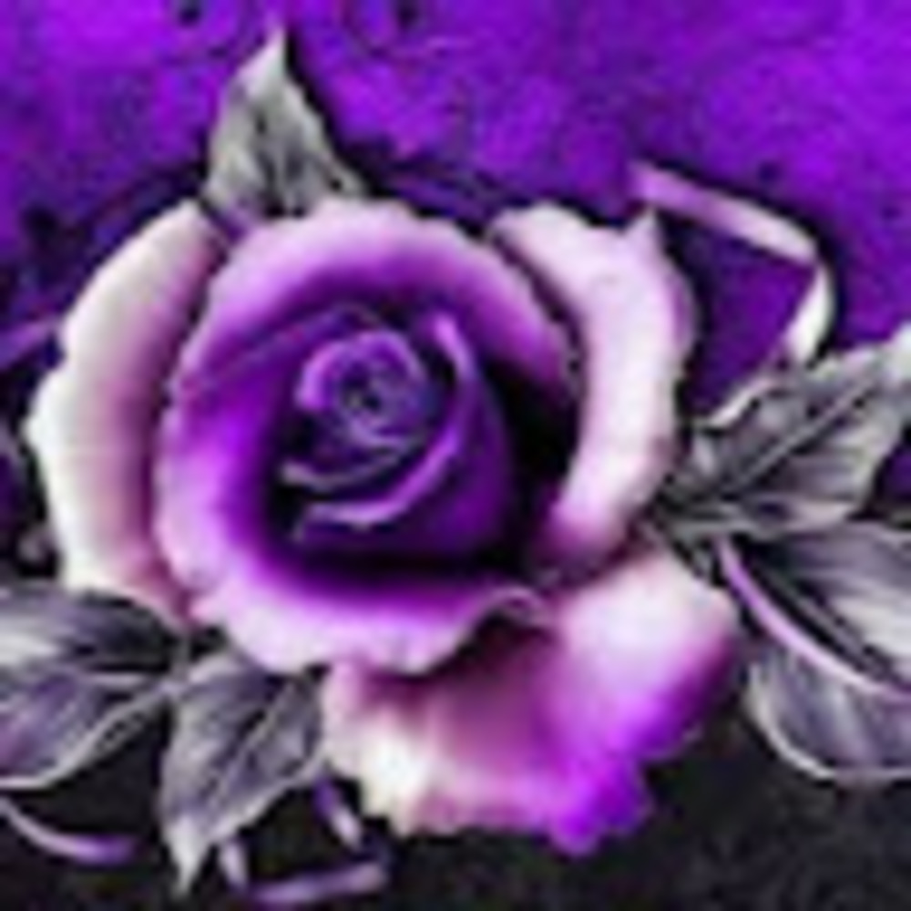 Meet your Posher, Jennnn